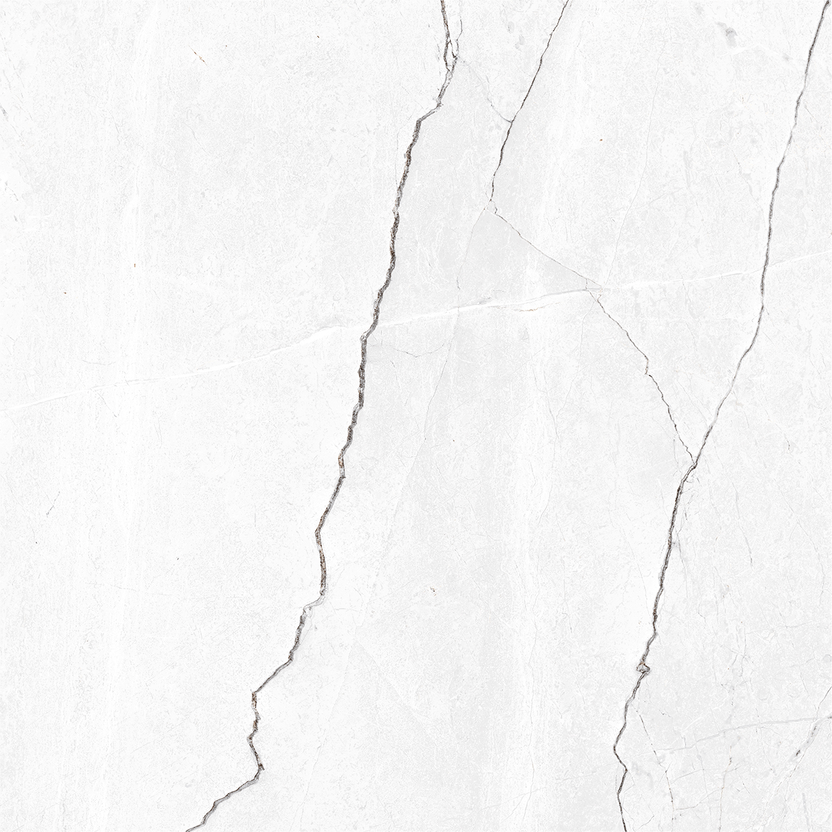 HONESTA WHITE