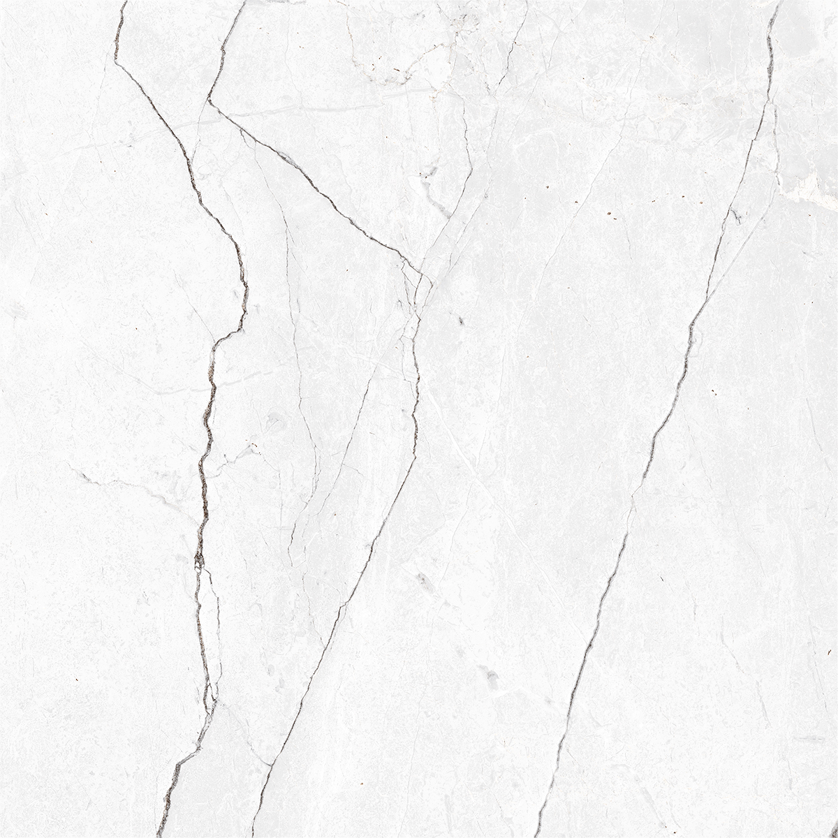 HONESTA WHITE