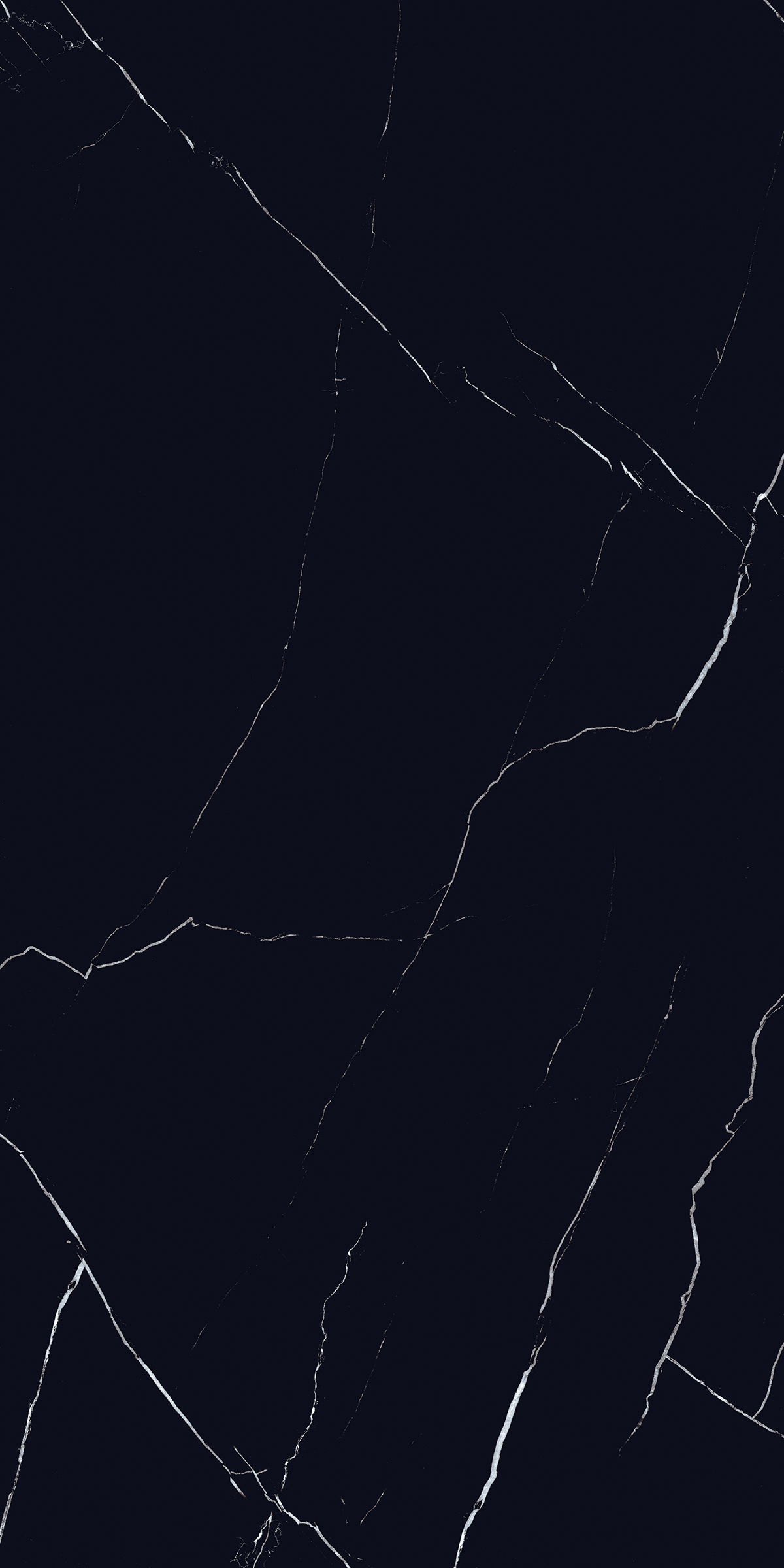 VENICE BALCK