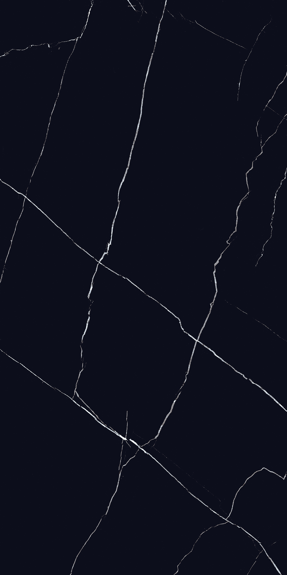 VENICE BALCK