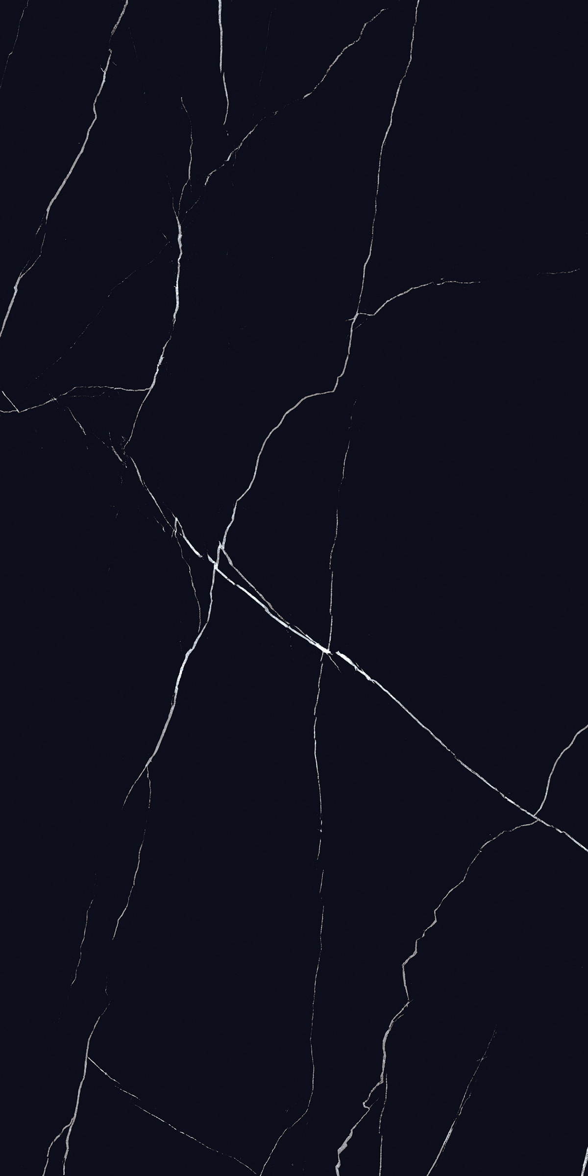 VENICE BALCK
