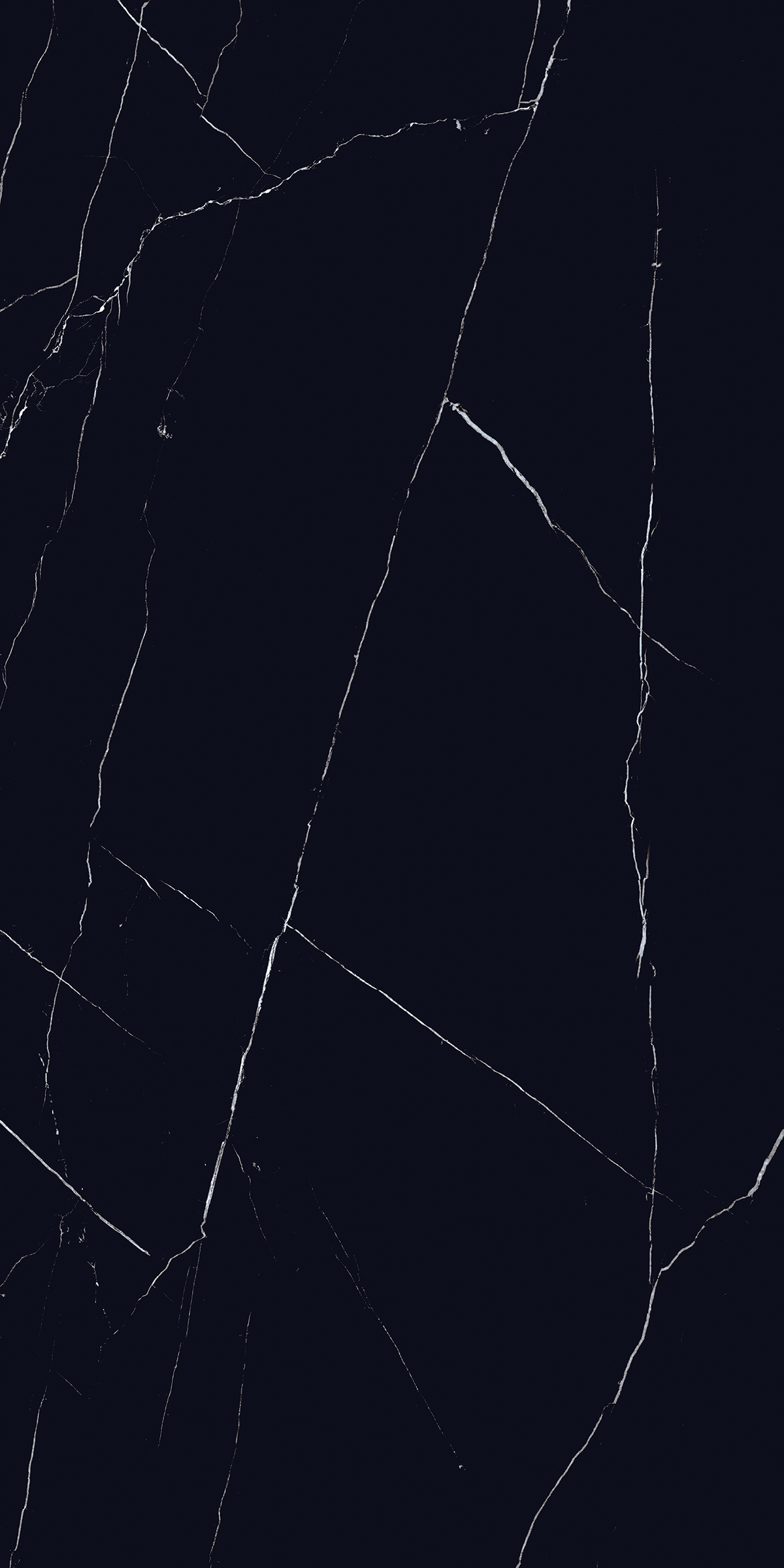 VENICE BALCK
