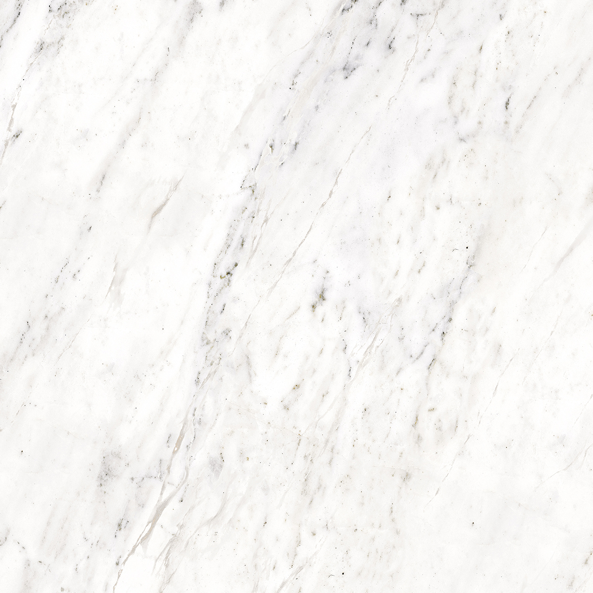 APOLLO WHITE