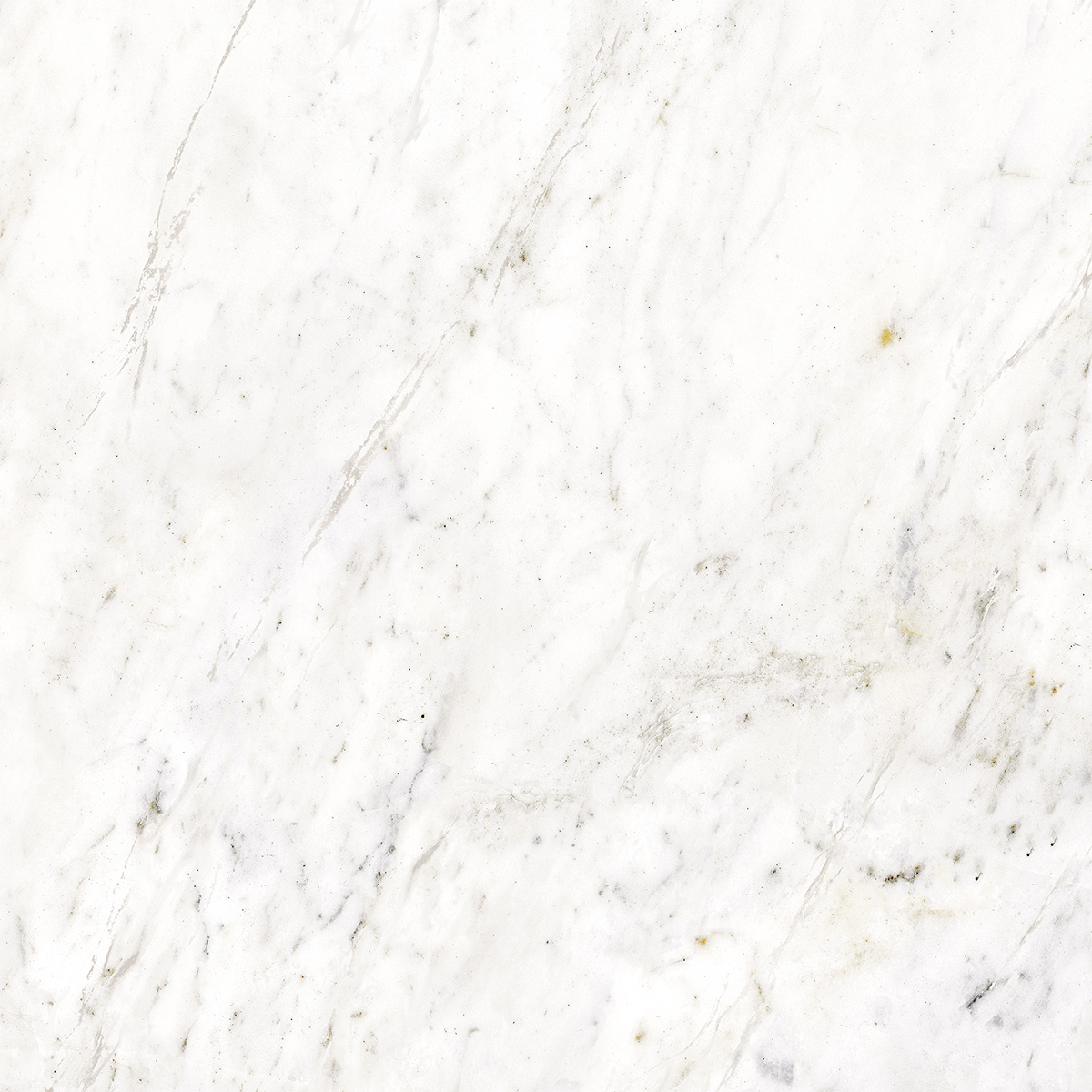 APOLLO WHITE