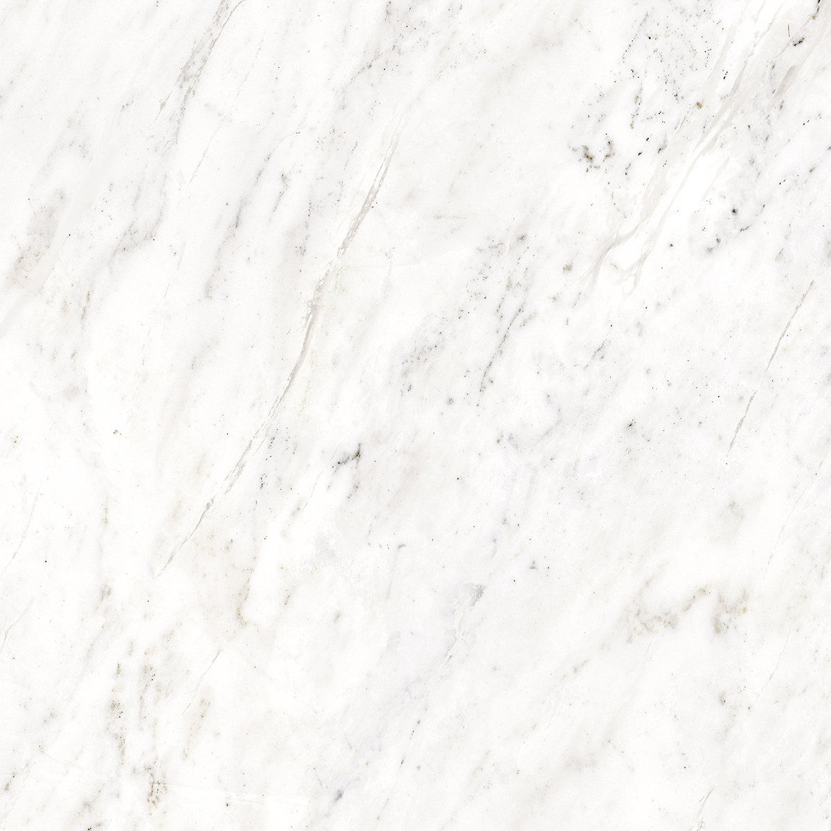 APOLLO WHITE