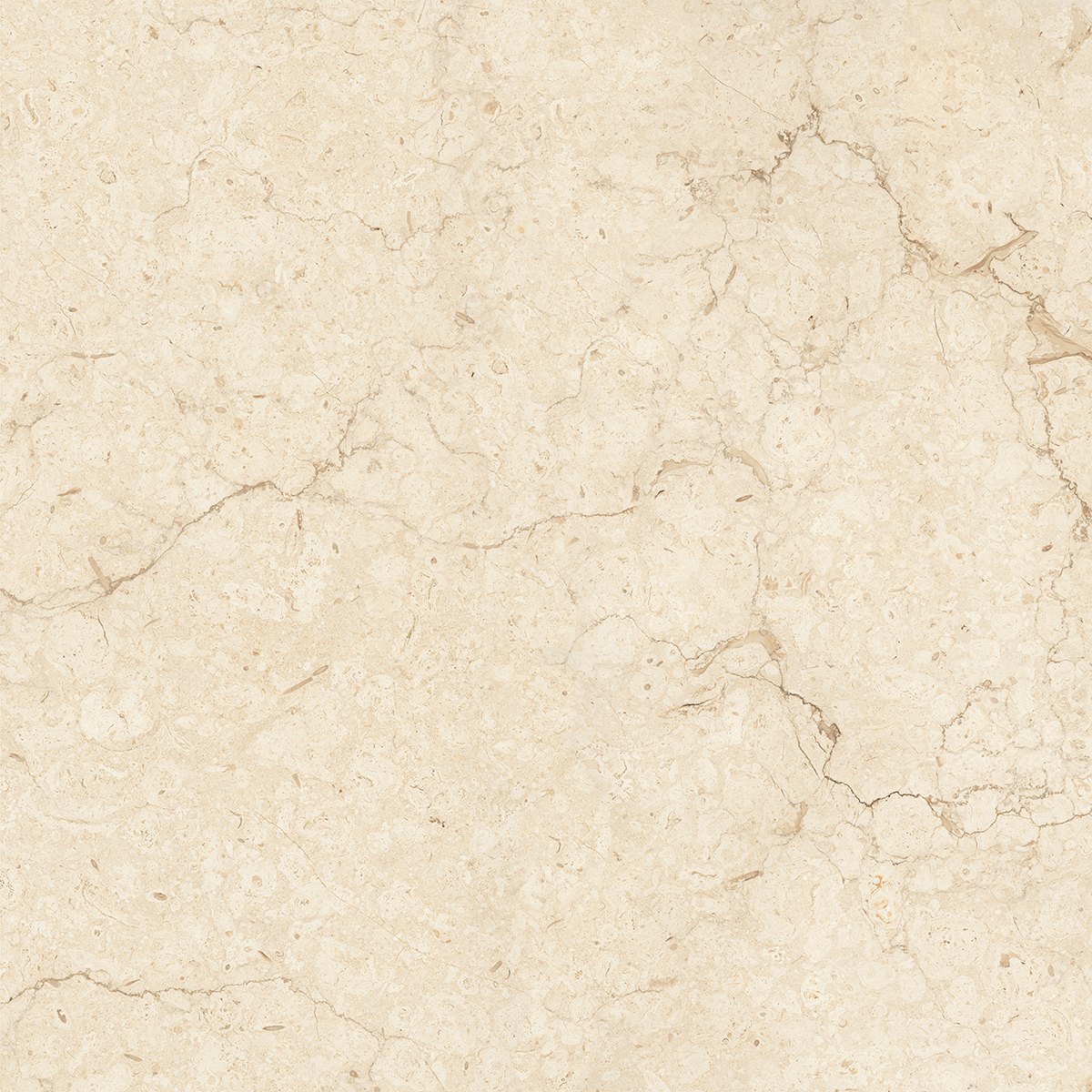 ARENA ELITE BEIGE