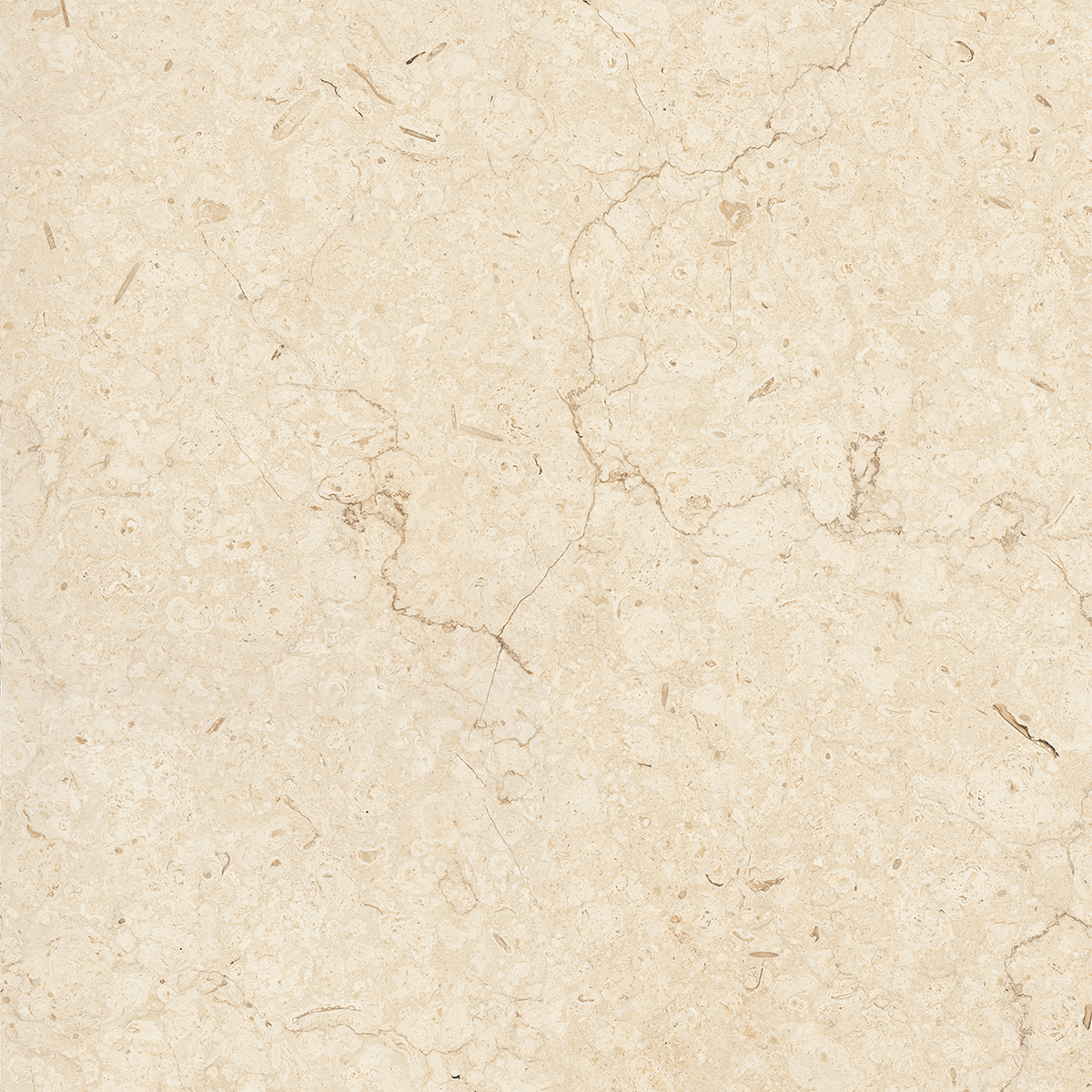 ARENA ELITE BEIGE