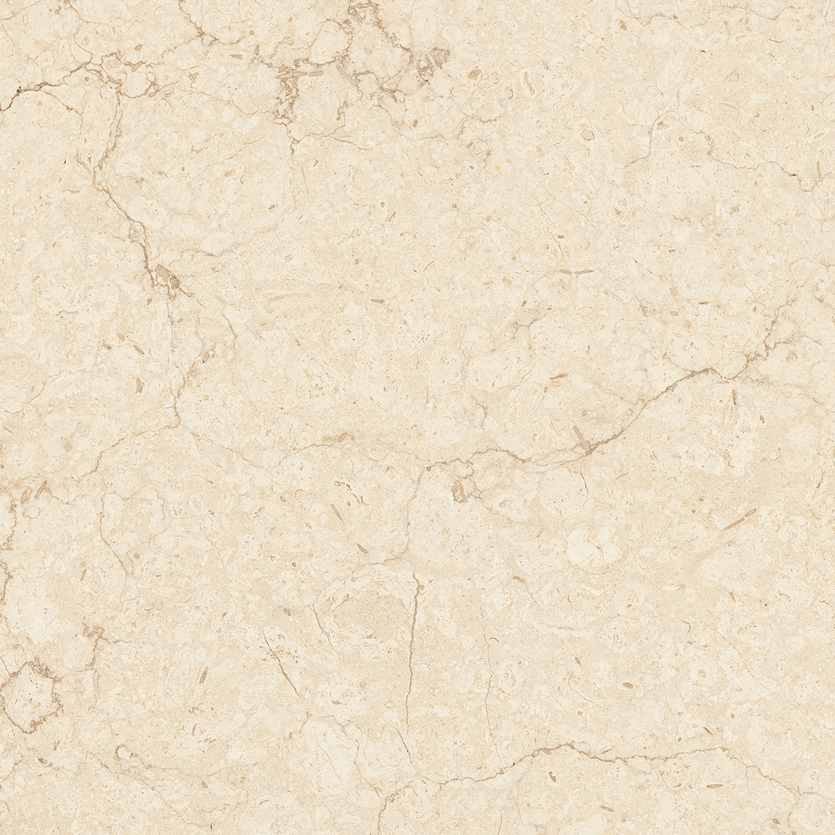 ARENA ELITE BEIGE