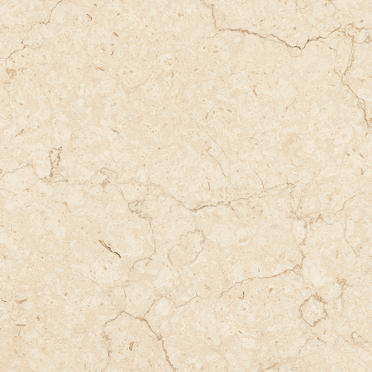 ARENA ELITE BEIGE