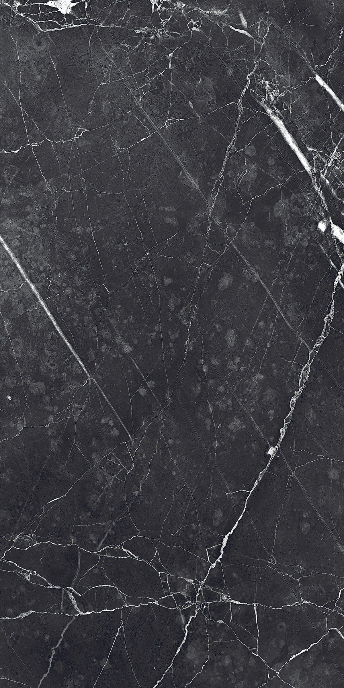 ZEBRANO BLACK