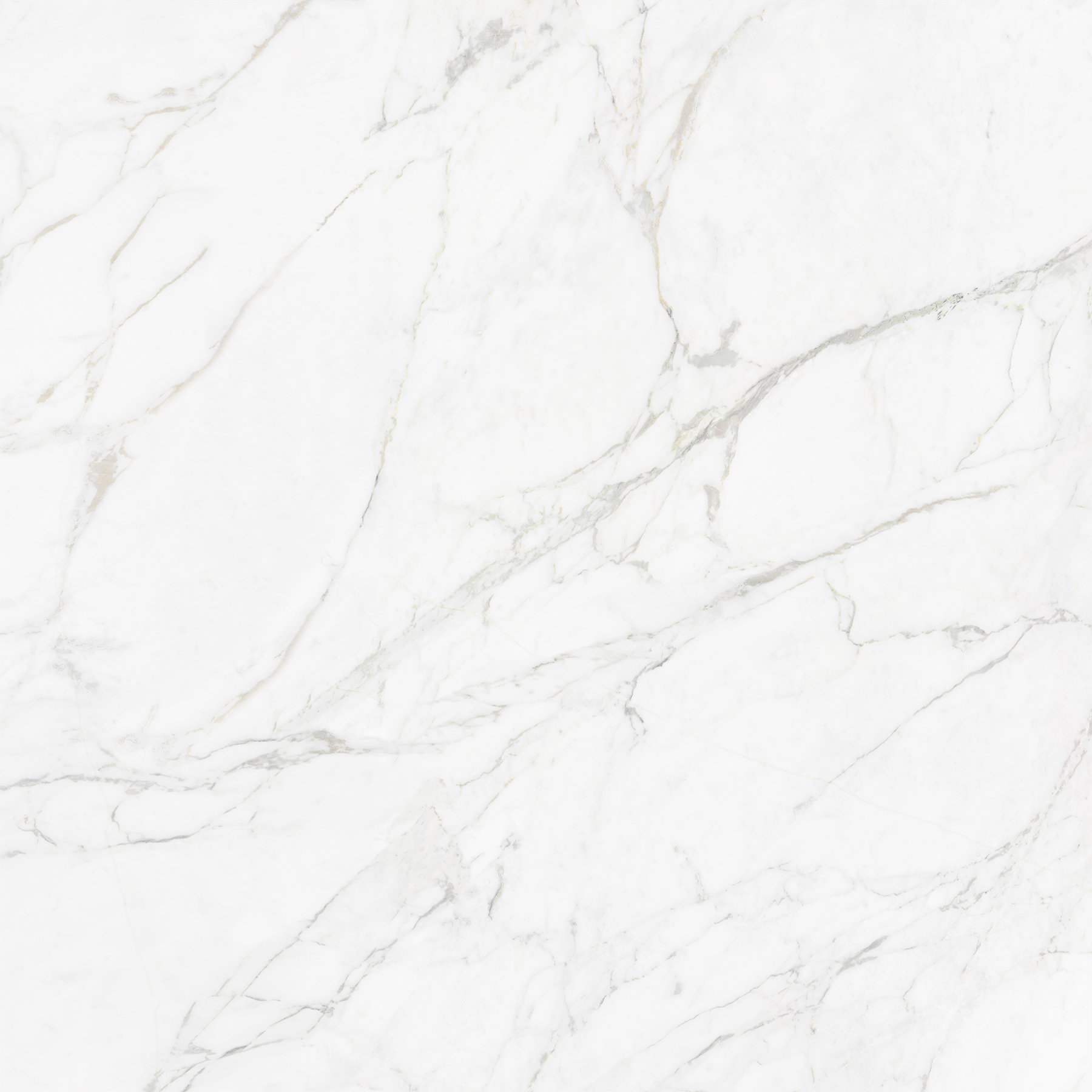 CARRARA BIANCO