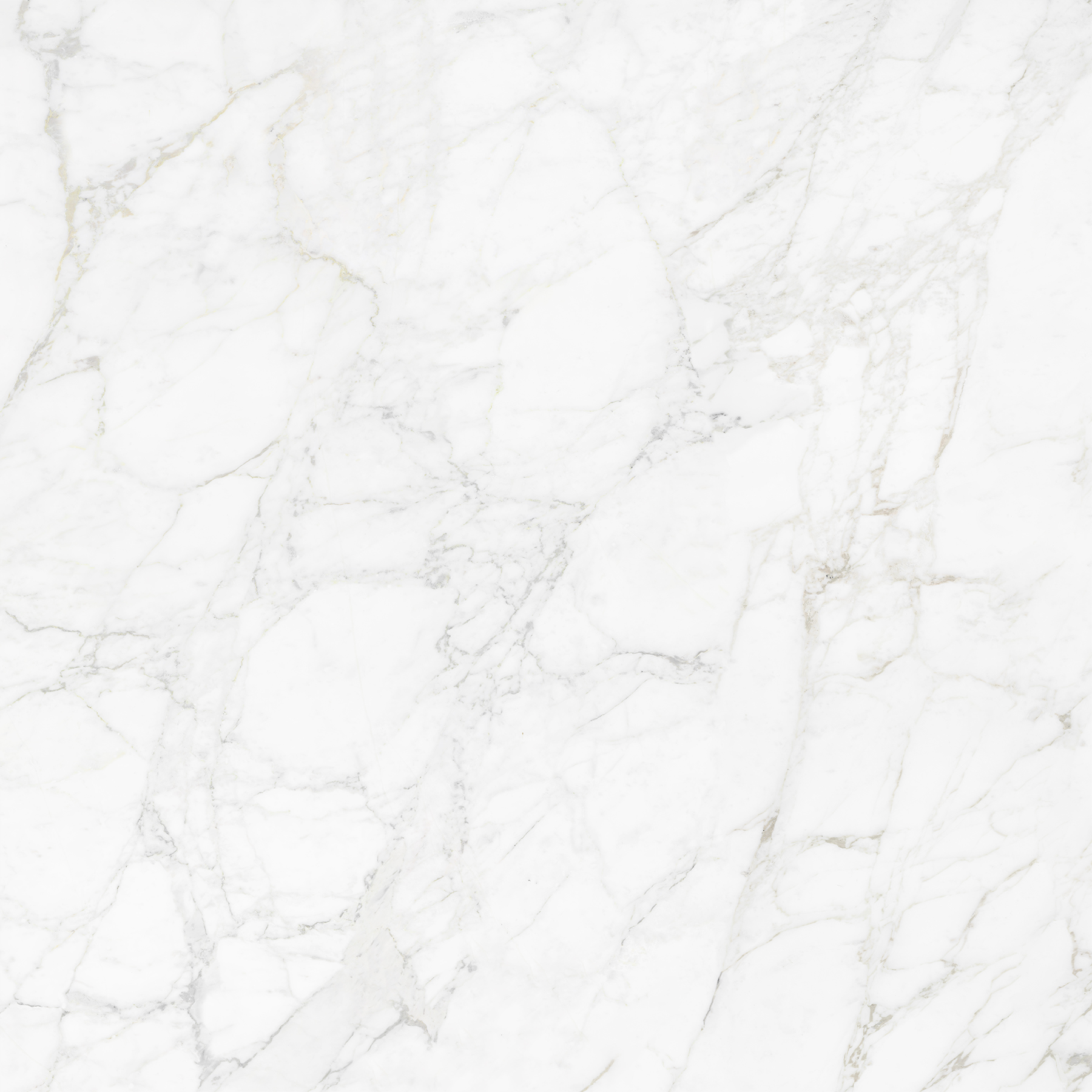 CARRARA BIANCO