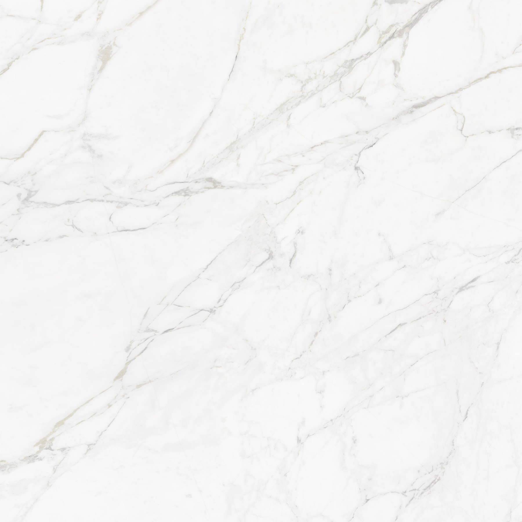 CARRARA BIANCO
