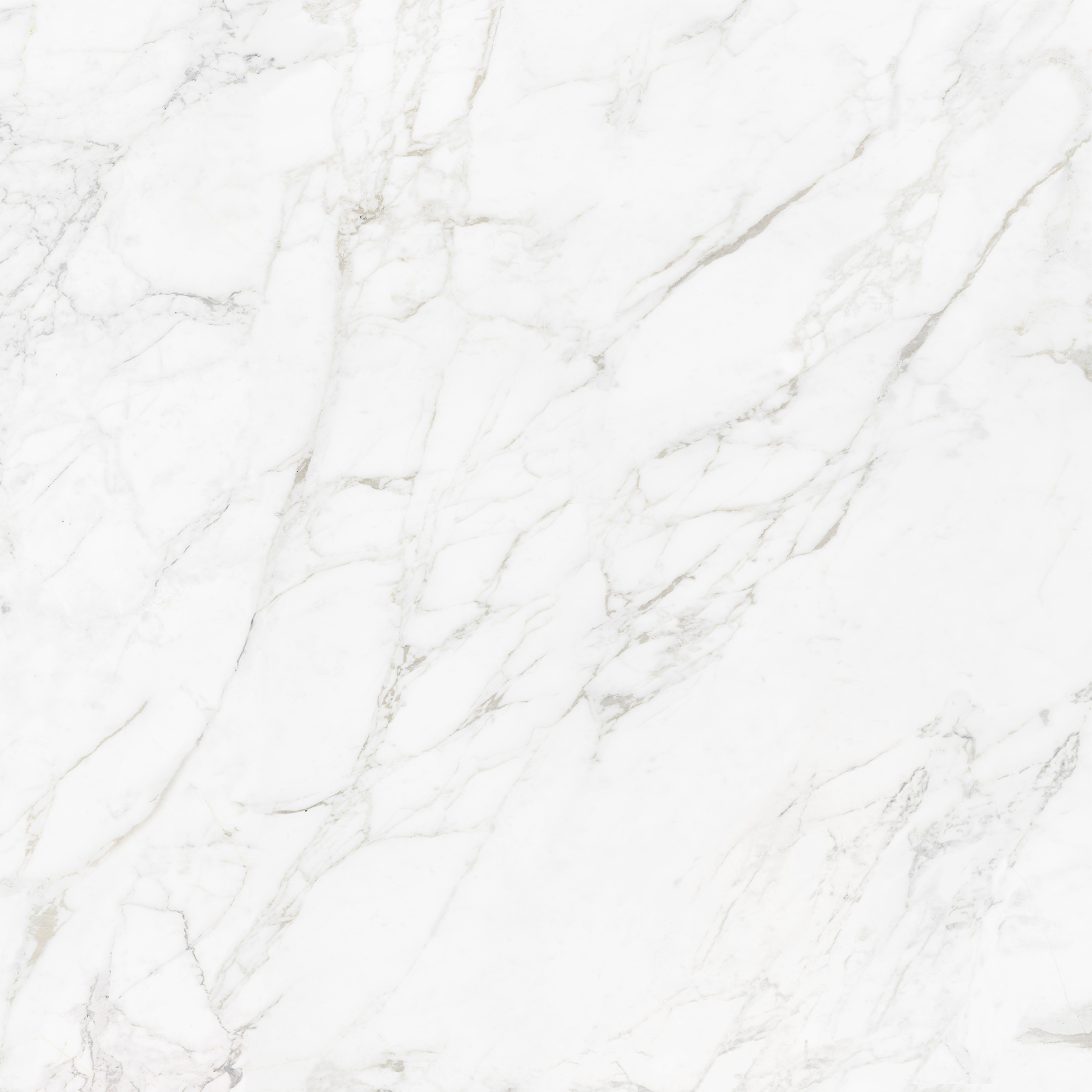 CARRARA BIANCO