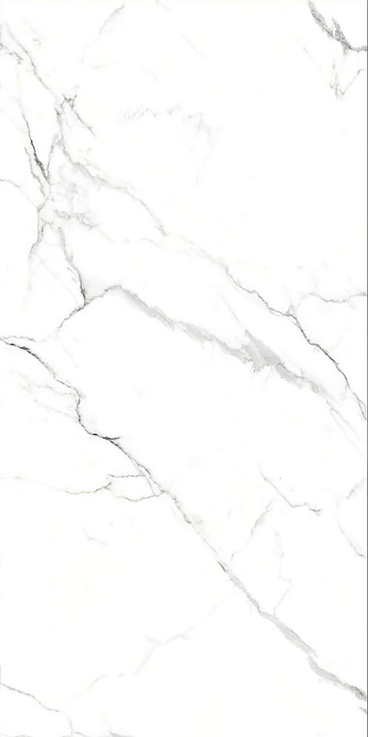 ALASKA WHITE