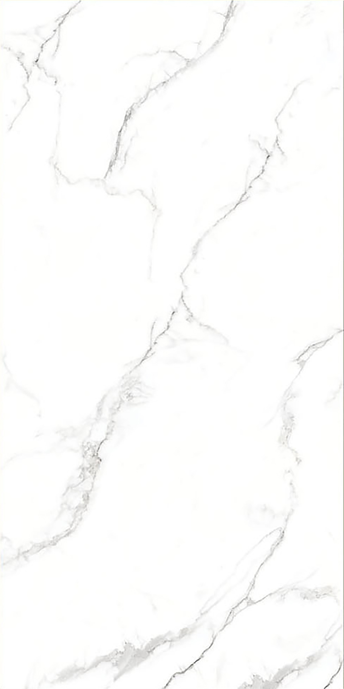 ALASKA WHITE