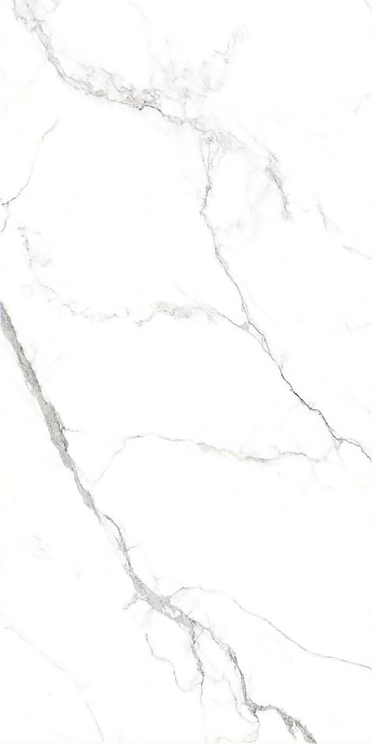 ALASKA WHITE