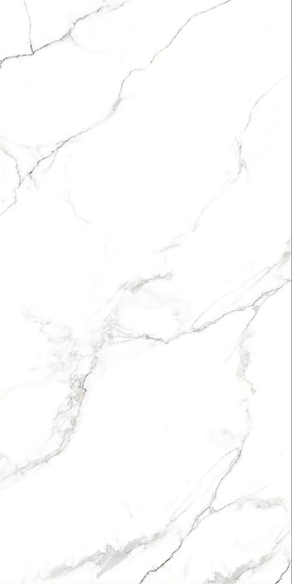 ALASKA WHITE