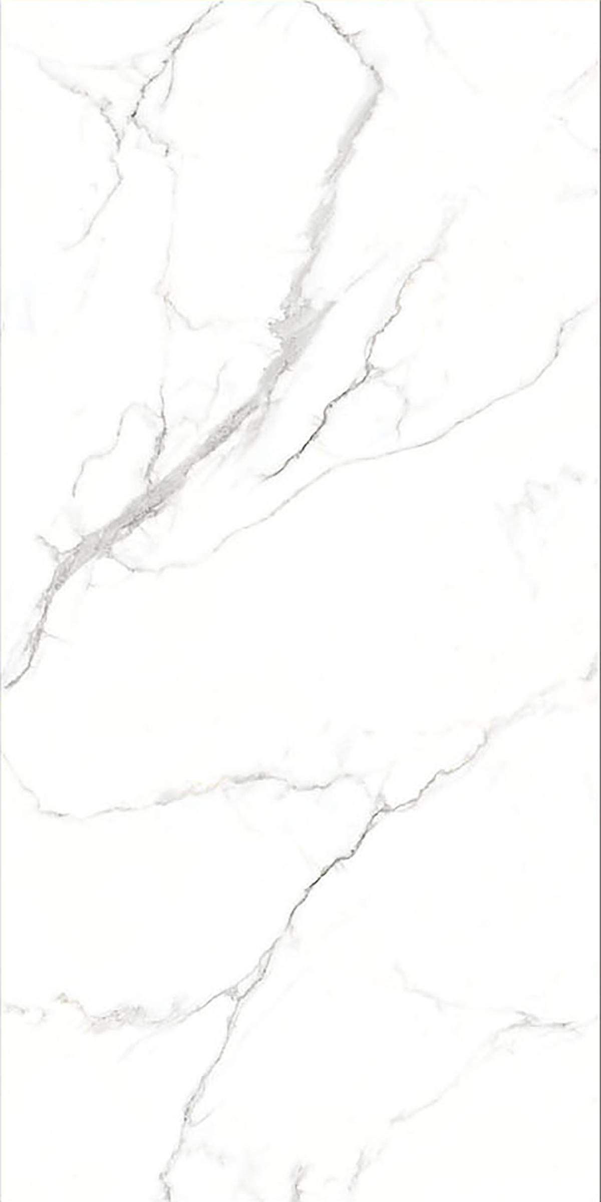 ALASKA WHITE
