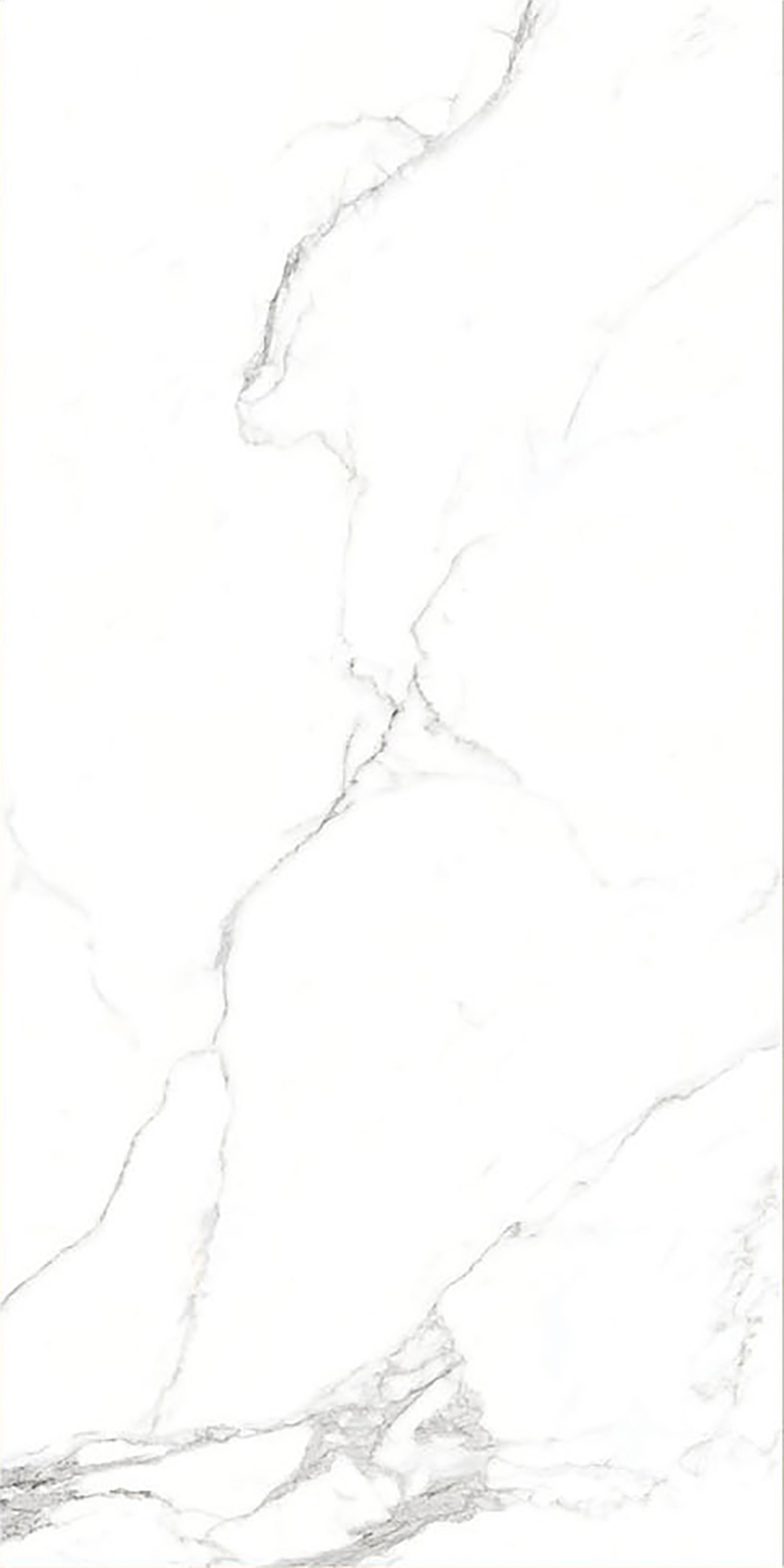 ALASKA WHITE