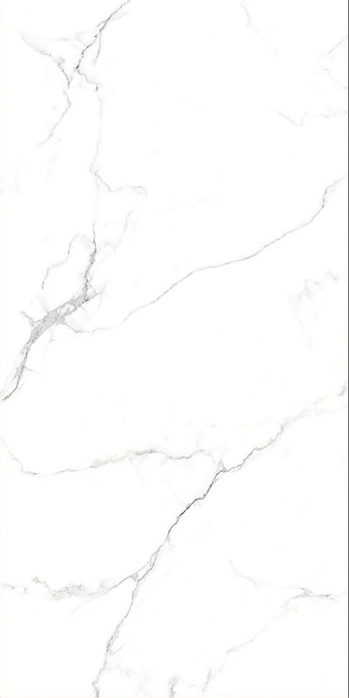 ALASKA WHITE