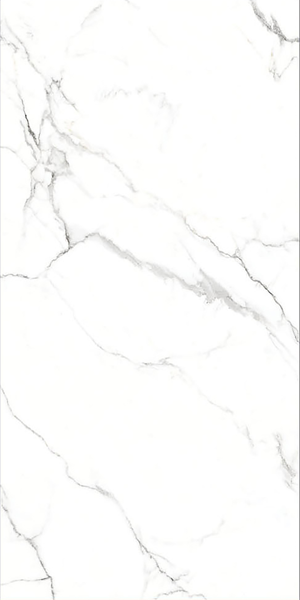 ALASKA WHITE
