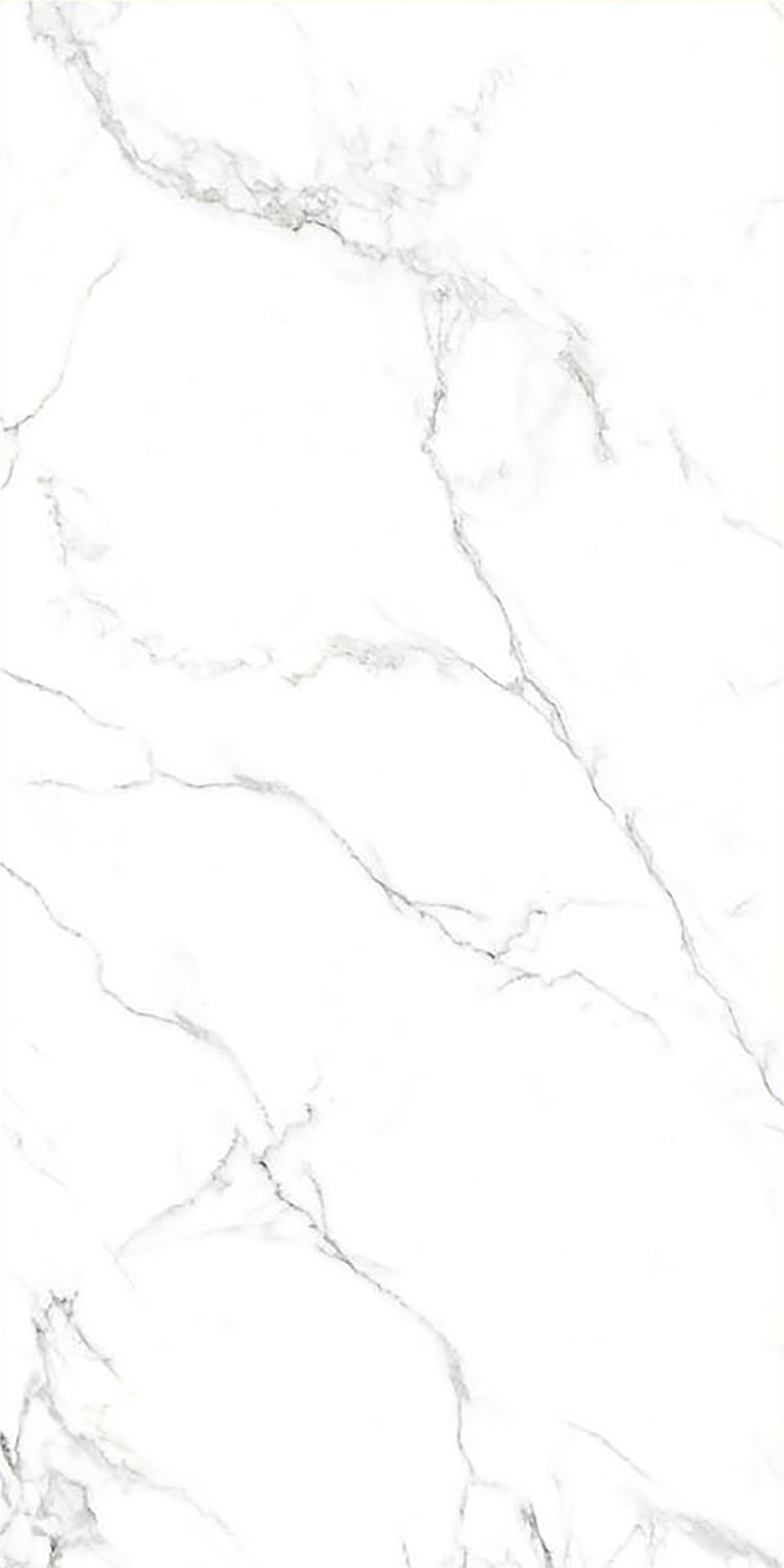 ALASKA WHITE
