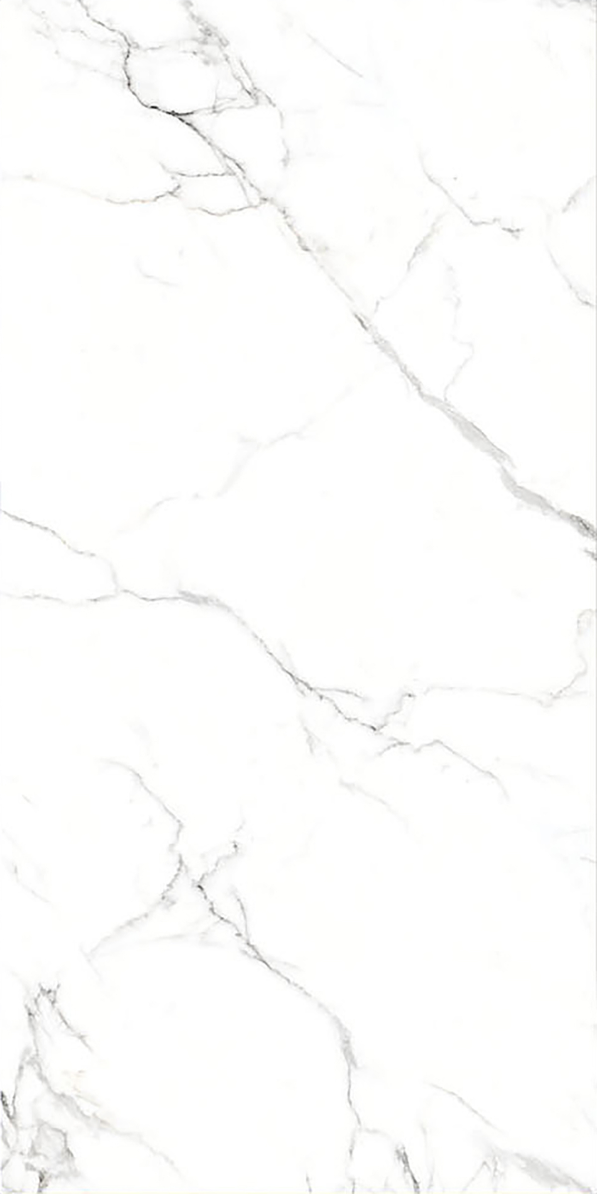 ALASKA WHITE