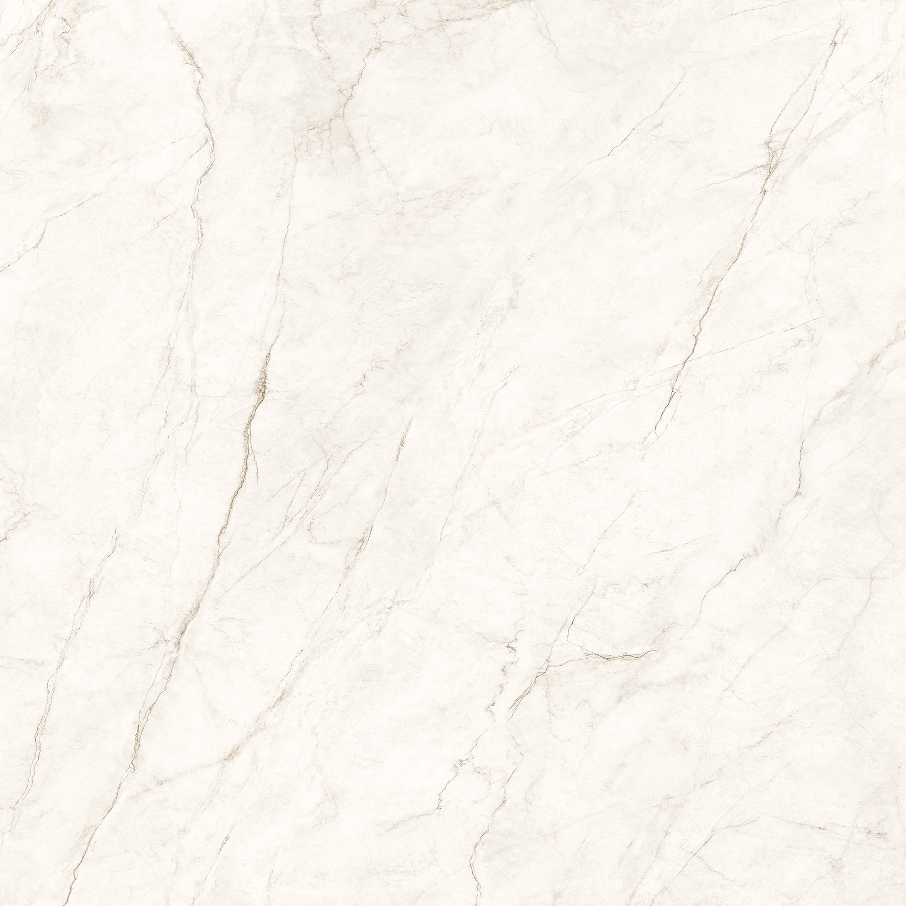 COSMOS WHITE