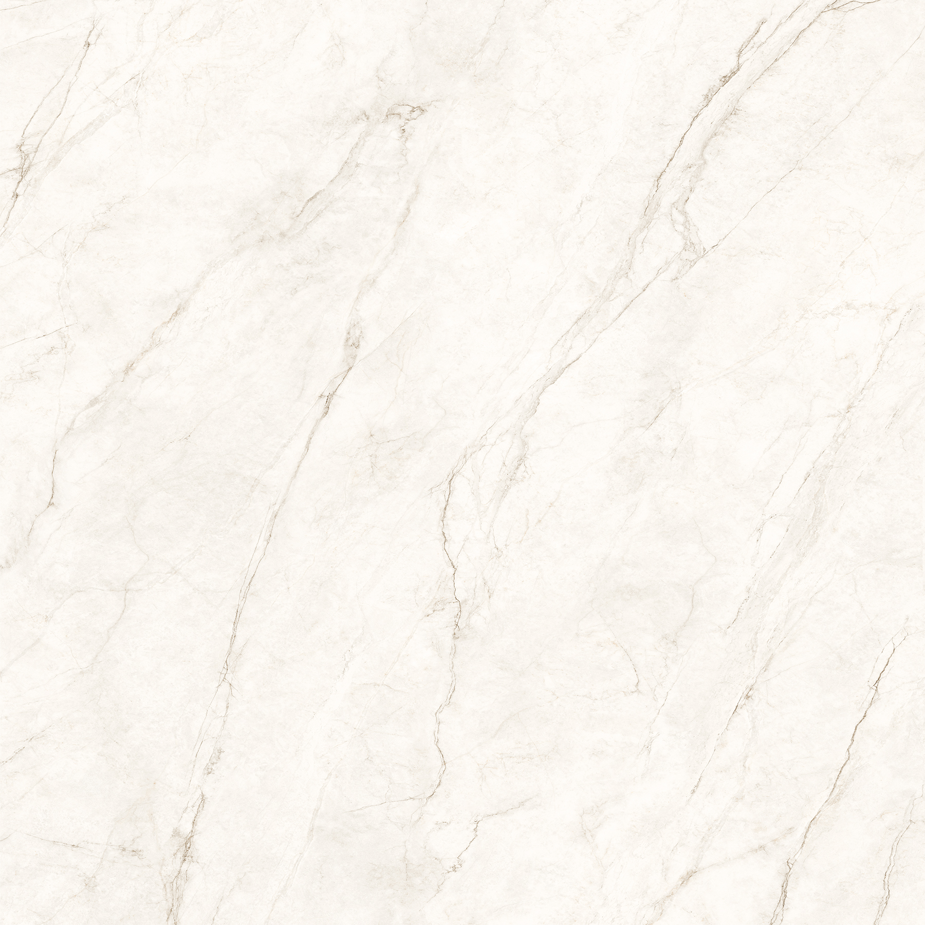 COSMOS WHITE