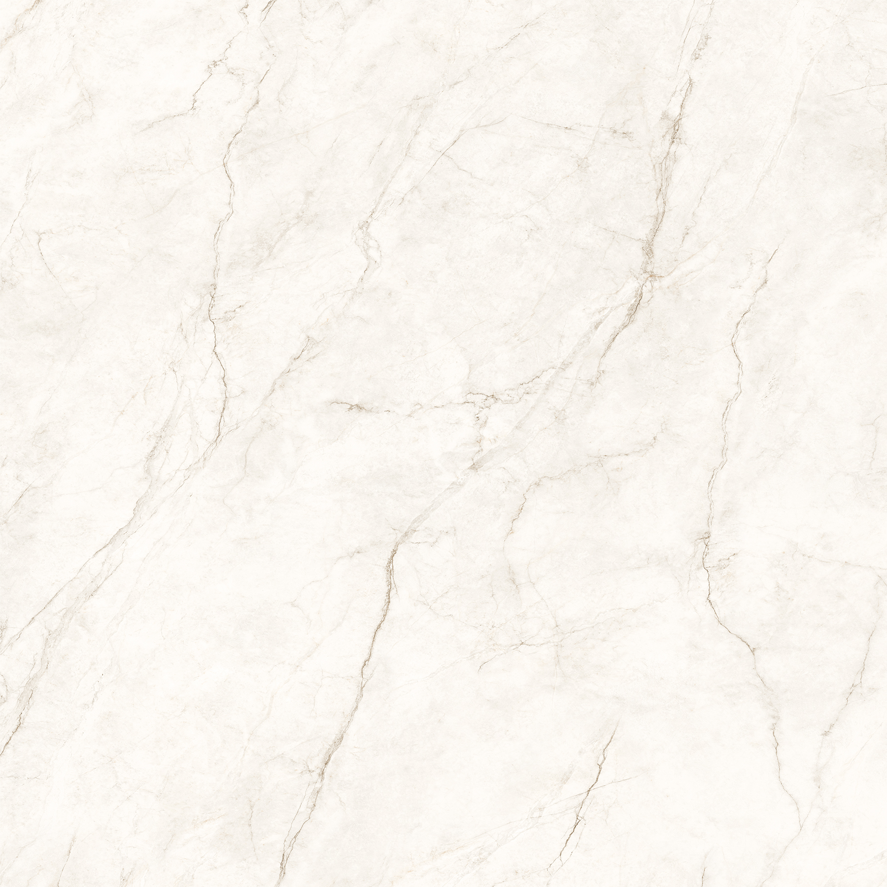 COSMOS WHITE
