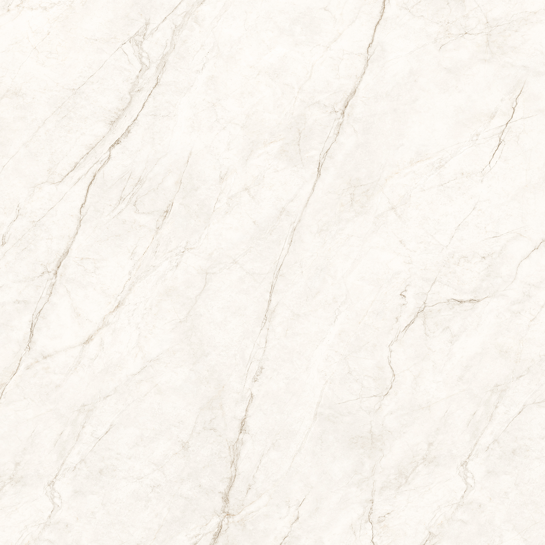 COSMOS WHITE