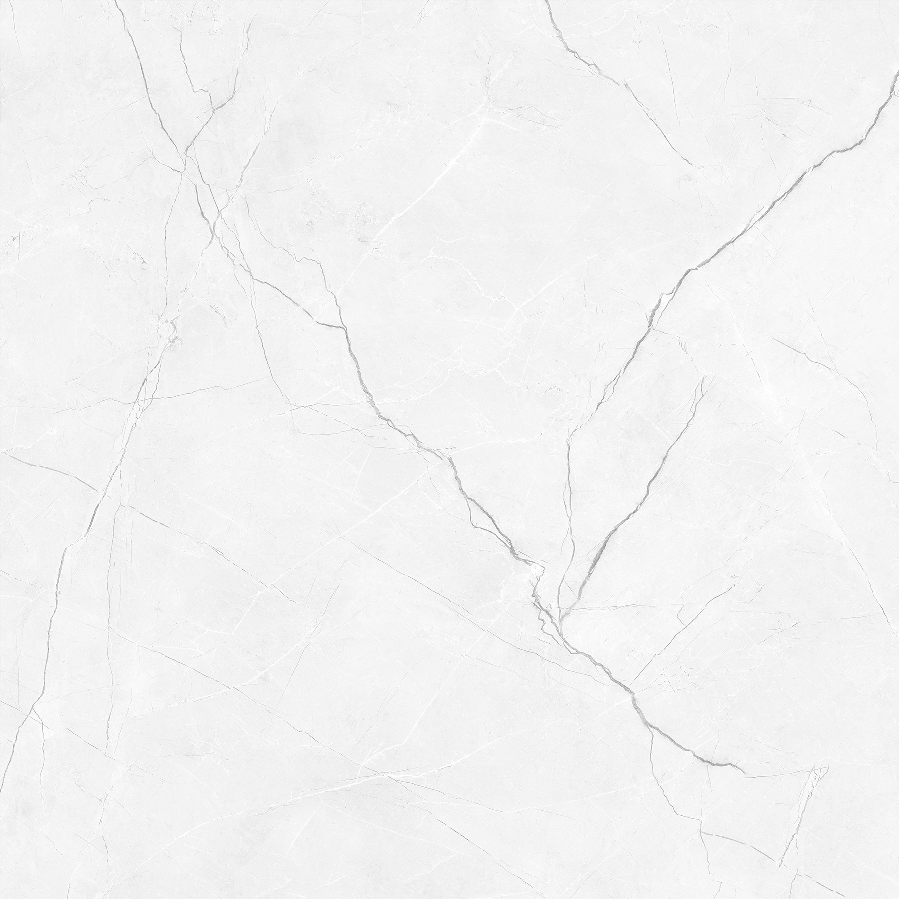 CRENIA BIANCO