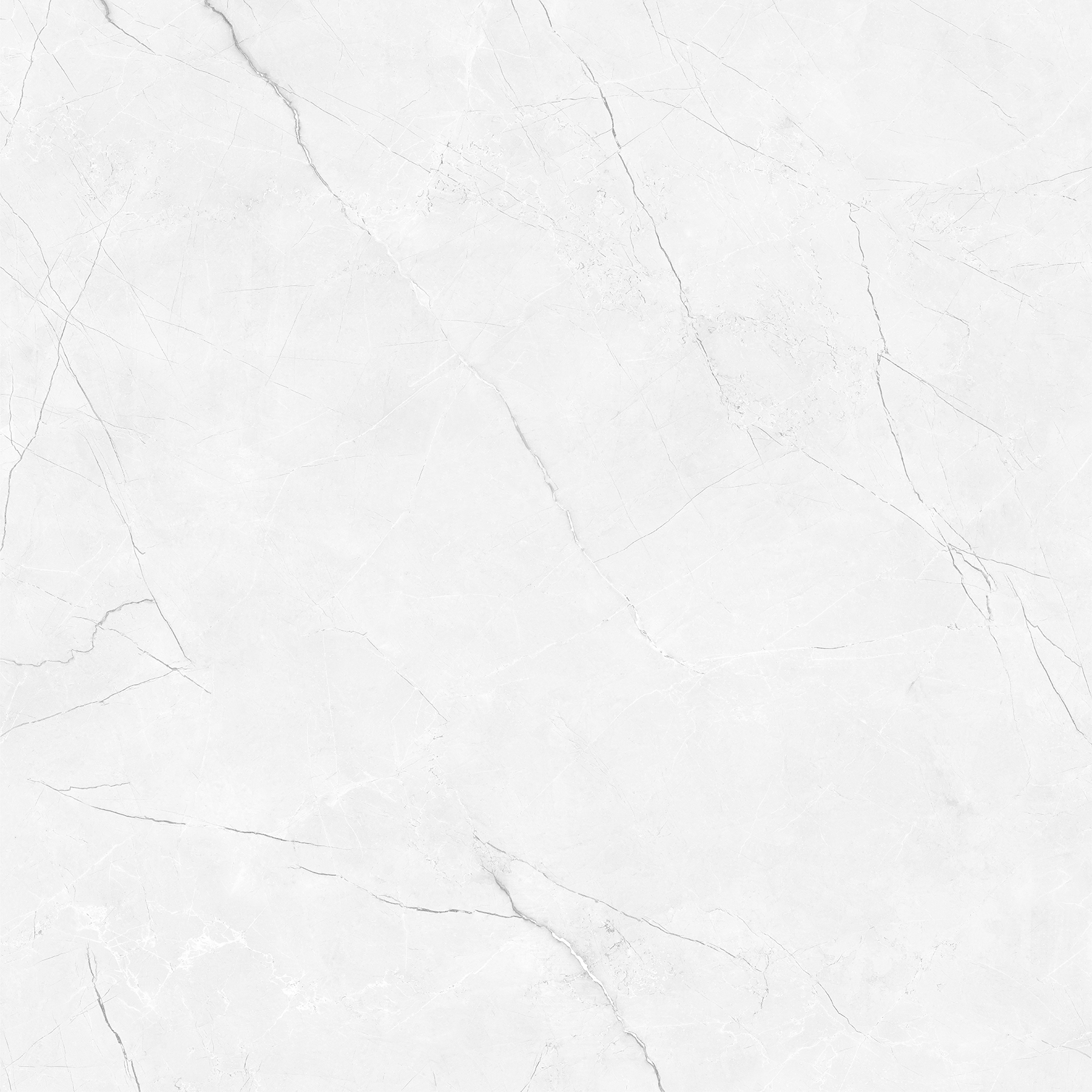 CRENIA BIANCO