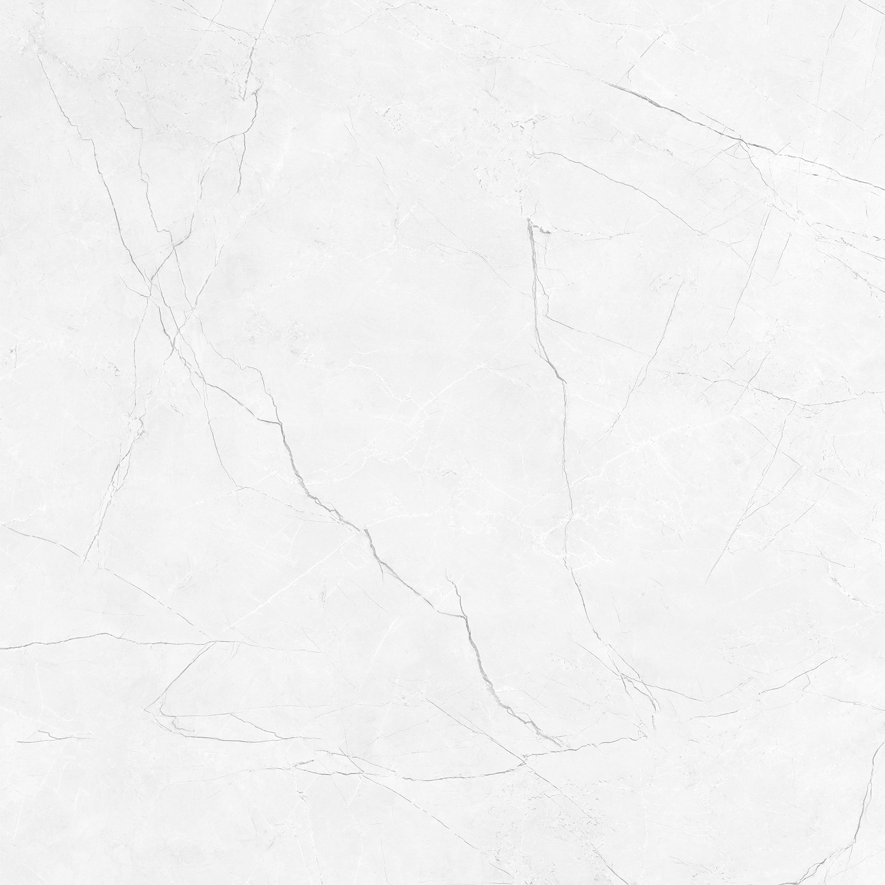 CRENIA BIANCO