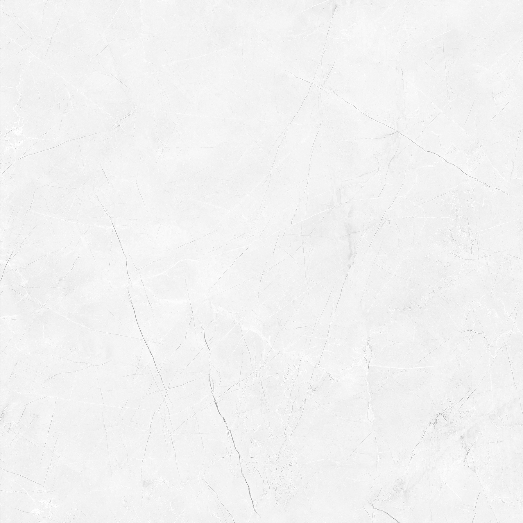CRENIA BIANCO