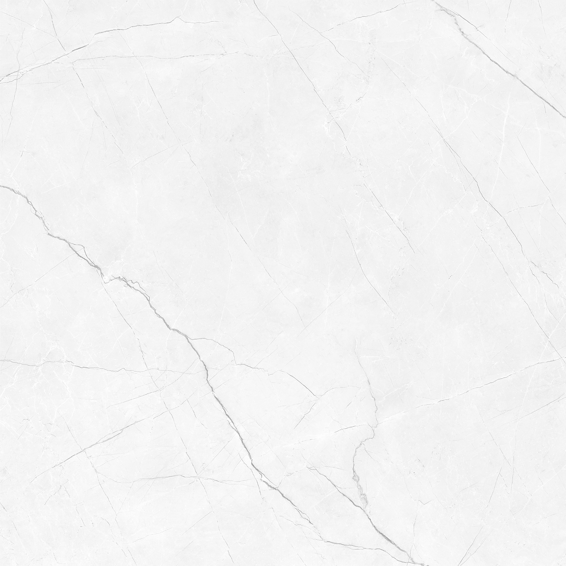 CRENIA BIANCO