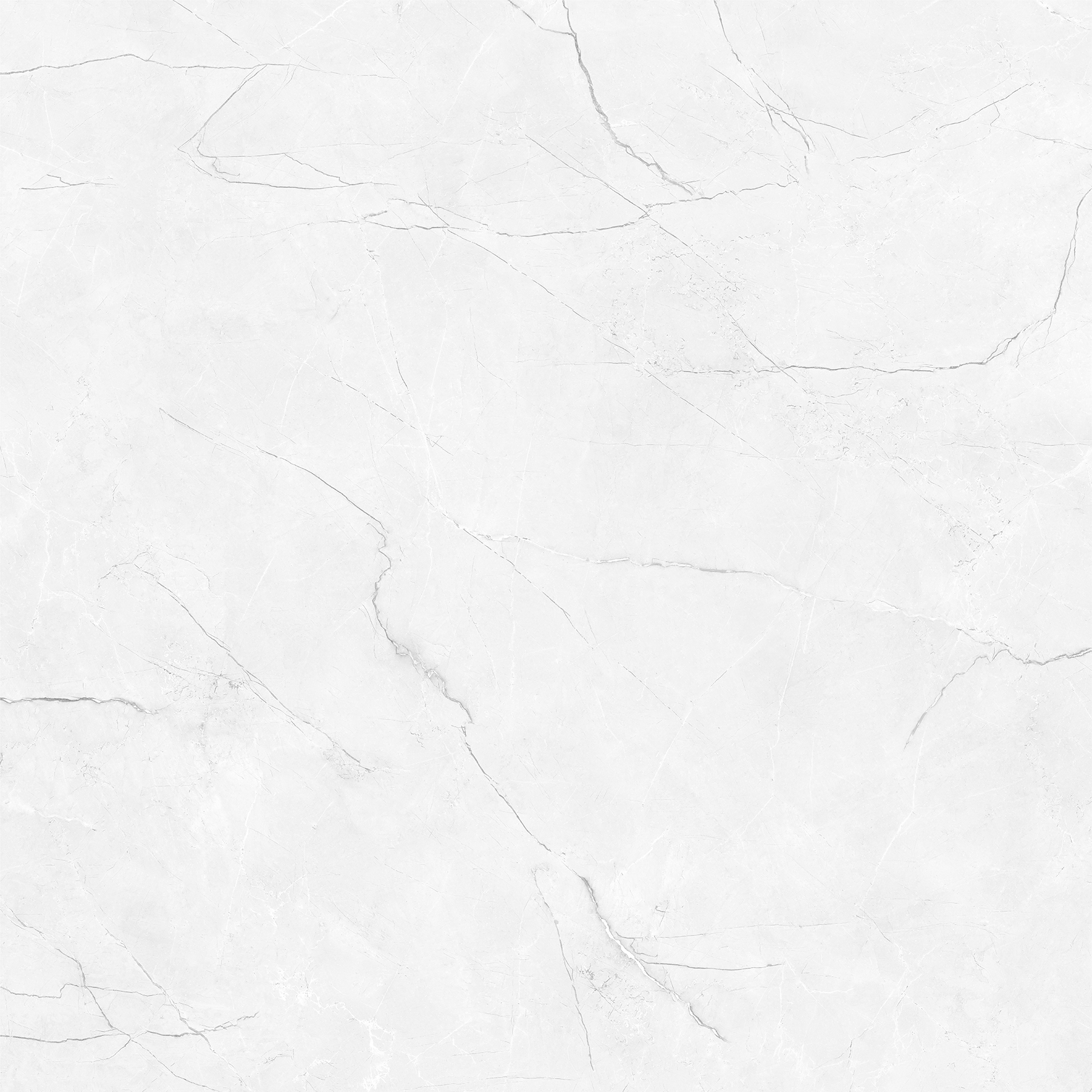 CRENIA BIANCO