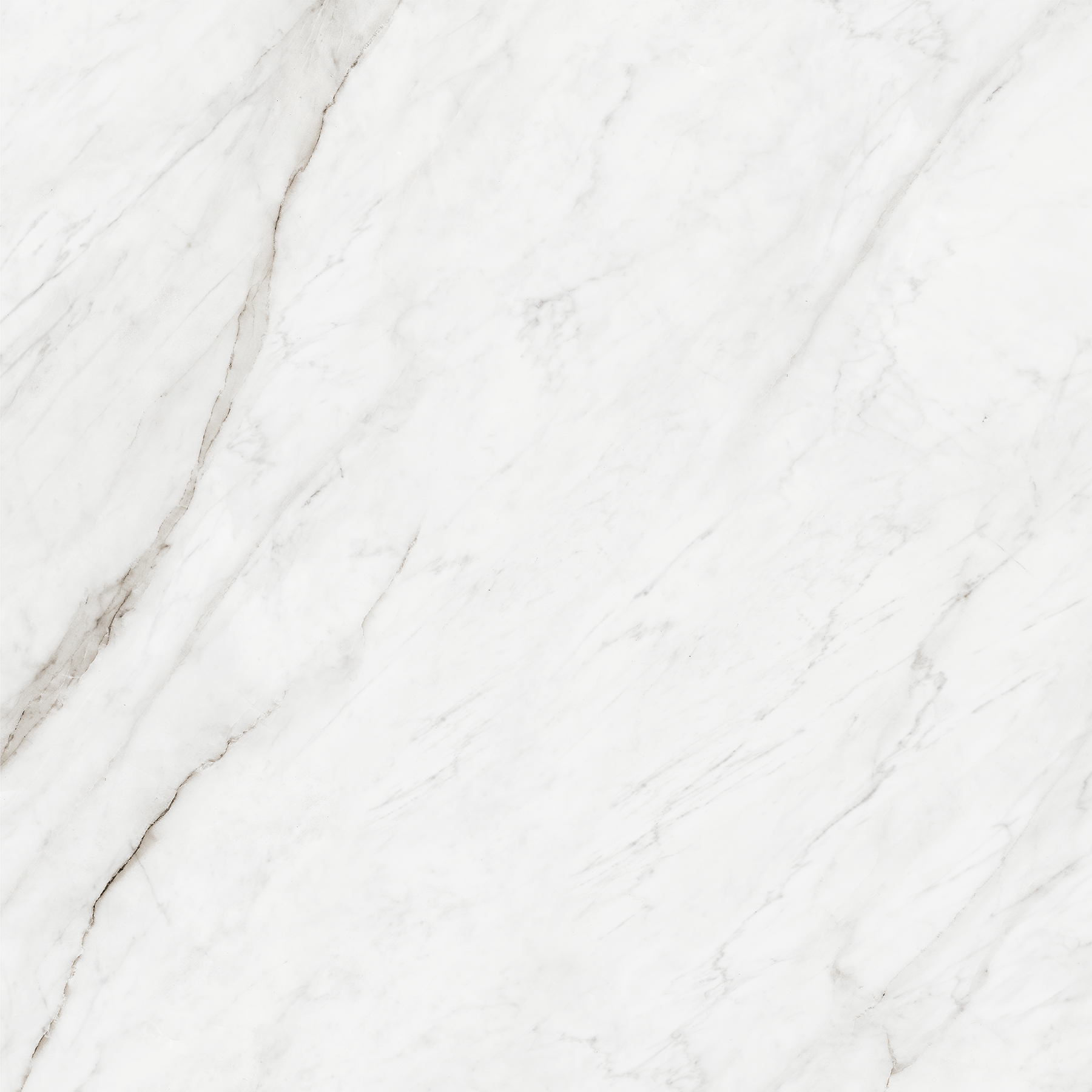 FABULOUS WHITE