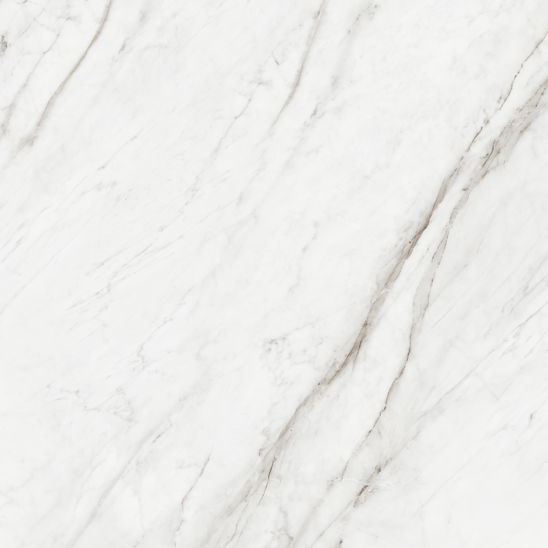 FABULOUS WHITE
