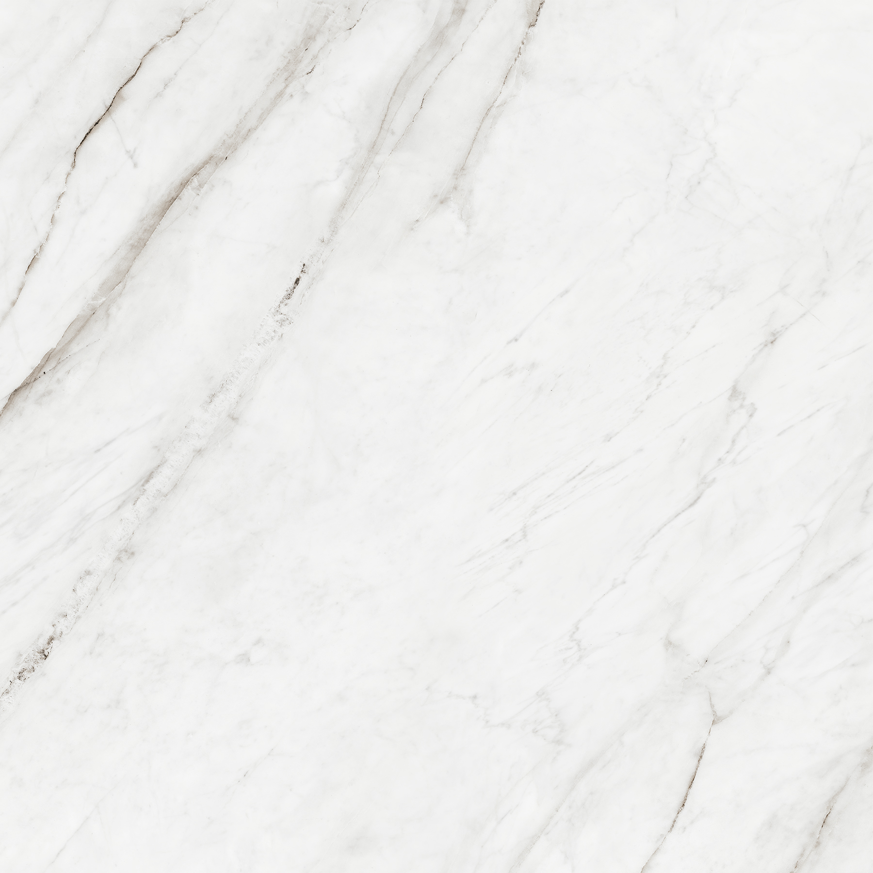 FABULOUS WHITE