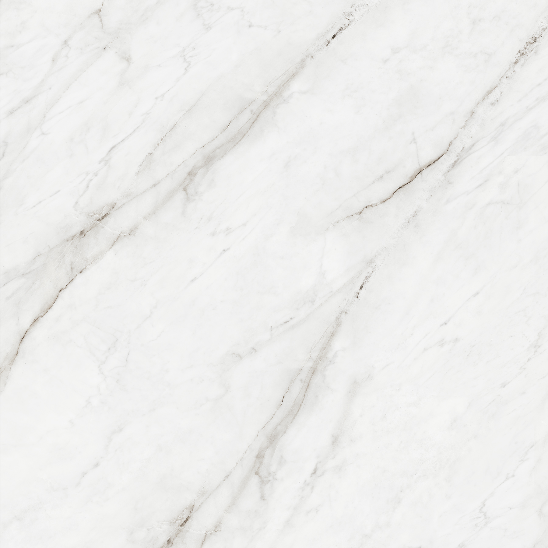 FABULOUS WHITE