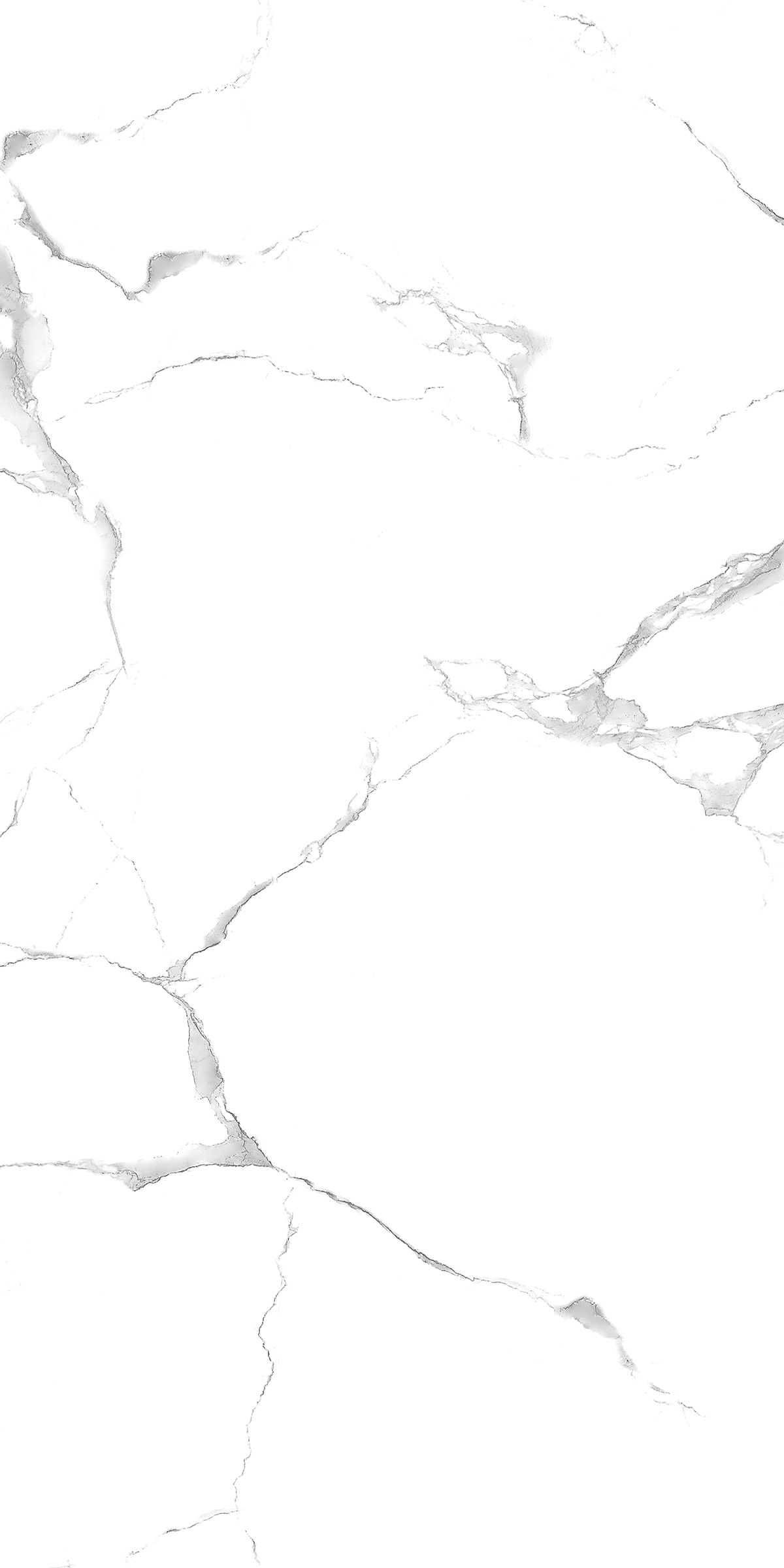 ALPINE CARARA