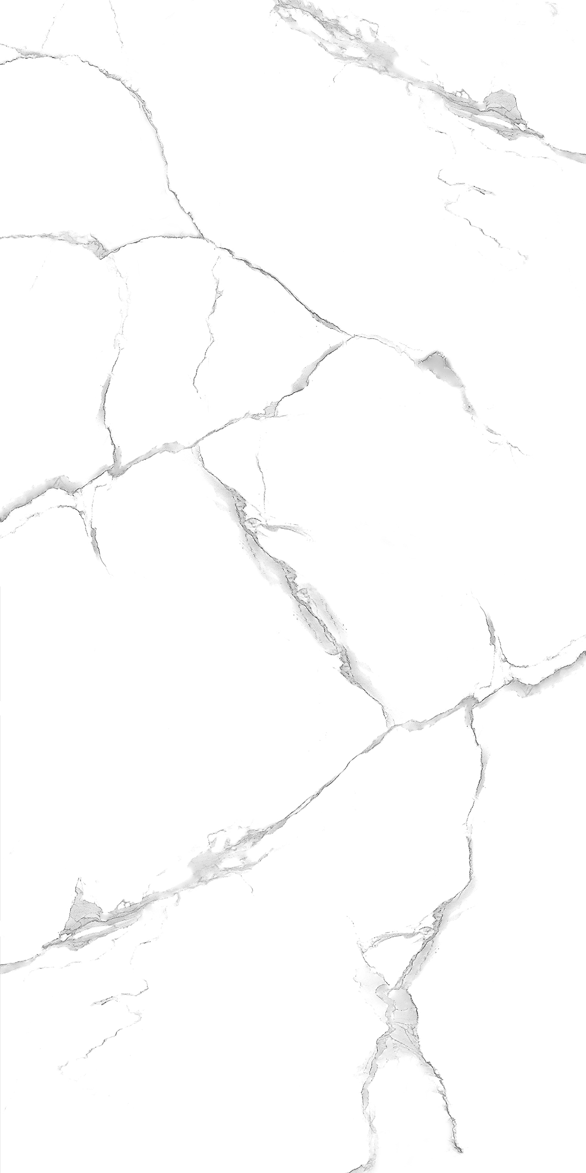 ALPINE CARARA