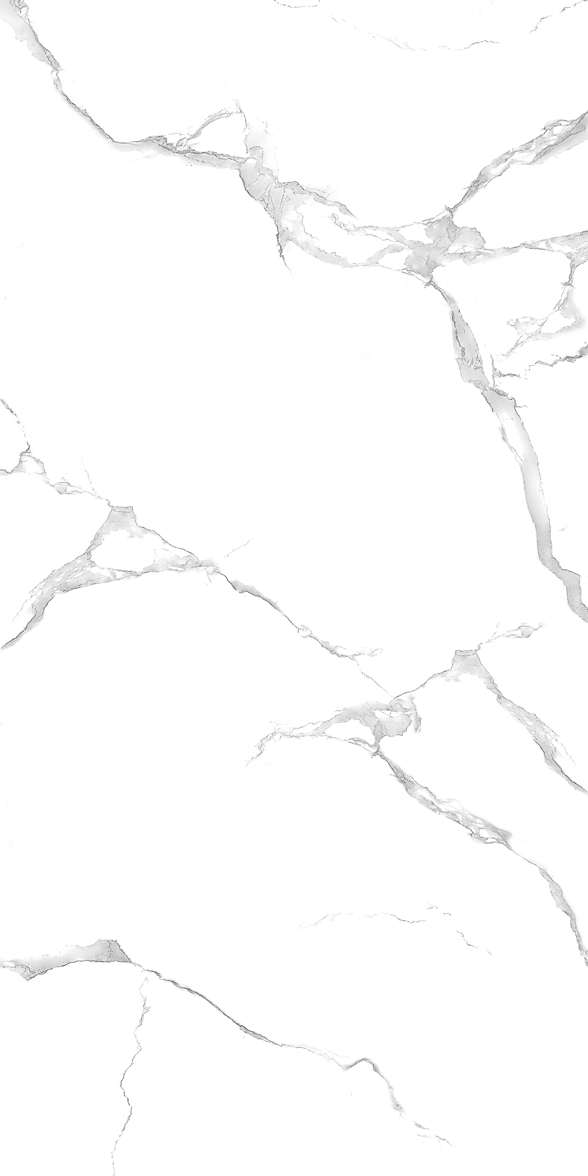 ALPINE CARARA