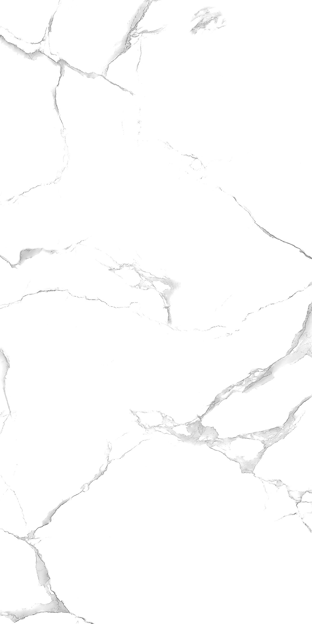 ALPINE CARARA