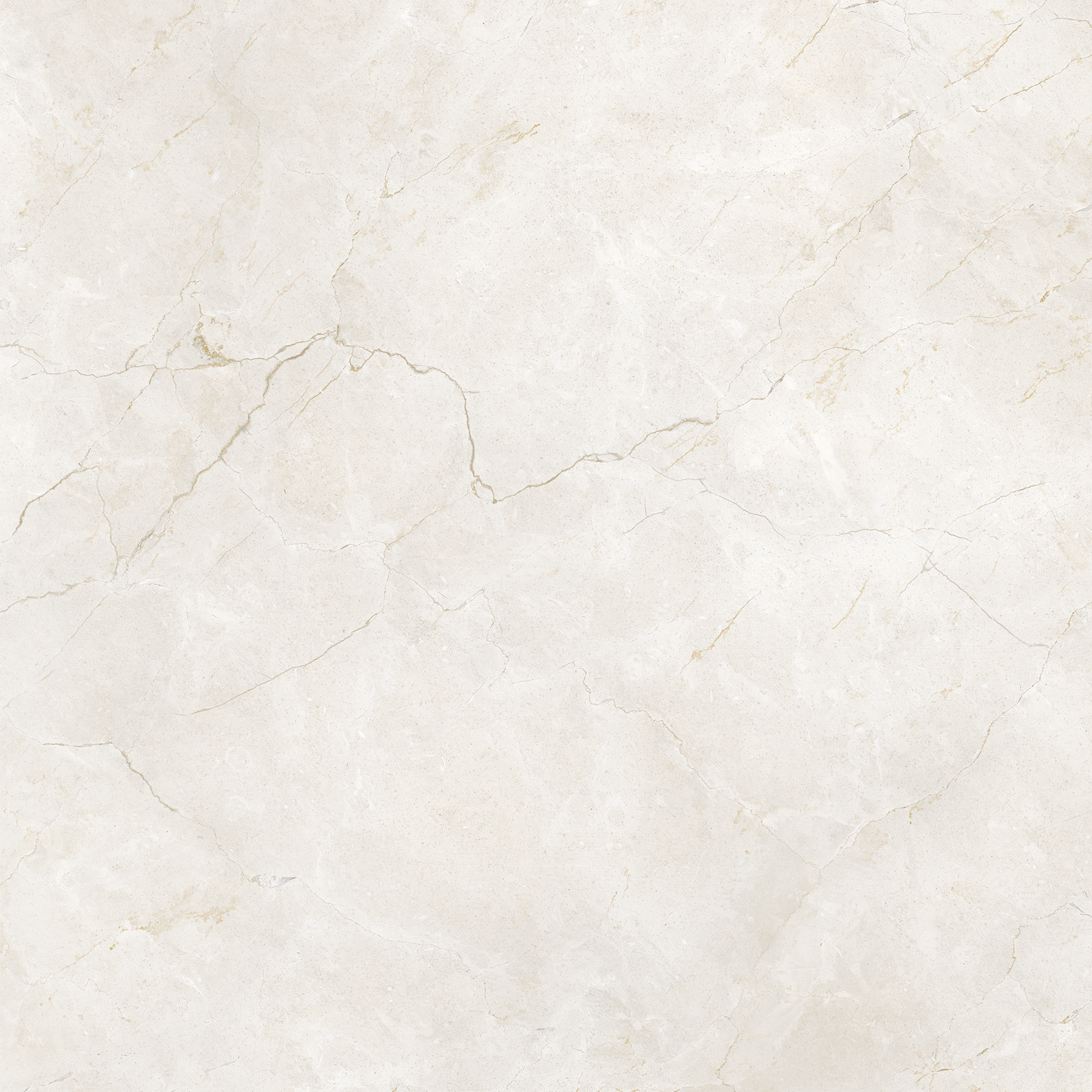 KASHMIR MARFIL
