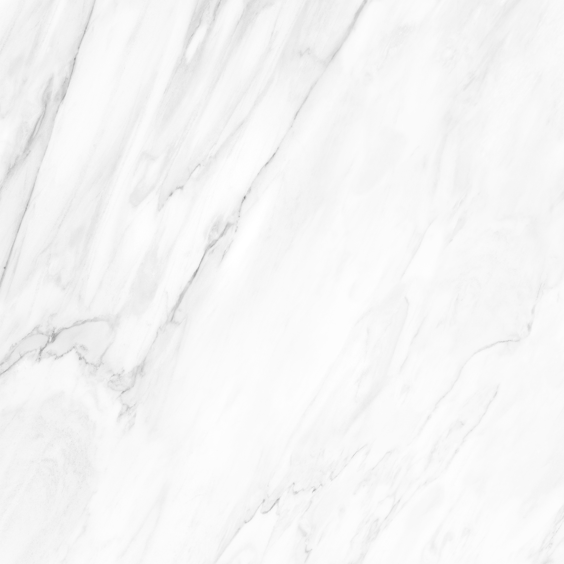 NOVELTY WHITE