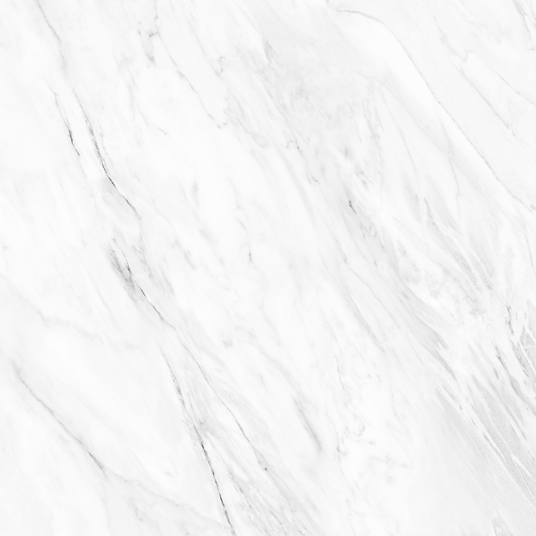 NOVELTY WHITE