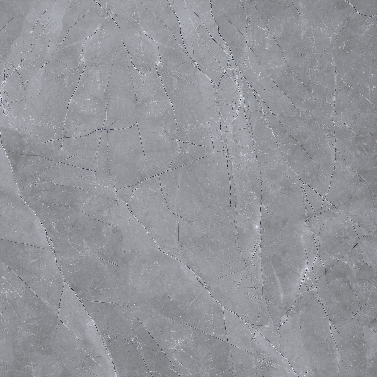 ROYAL PULPIS DARK GREY